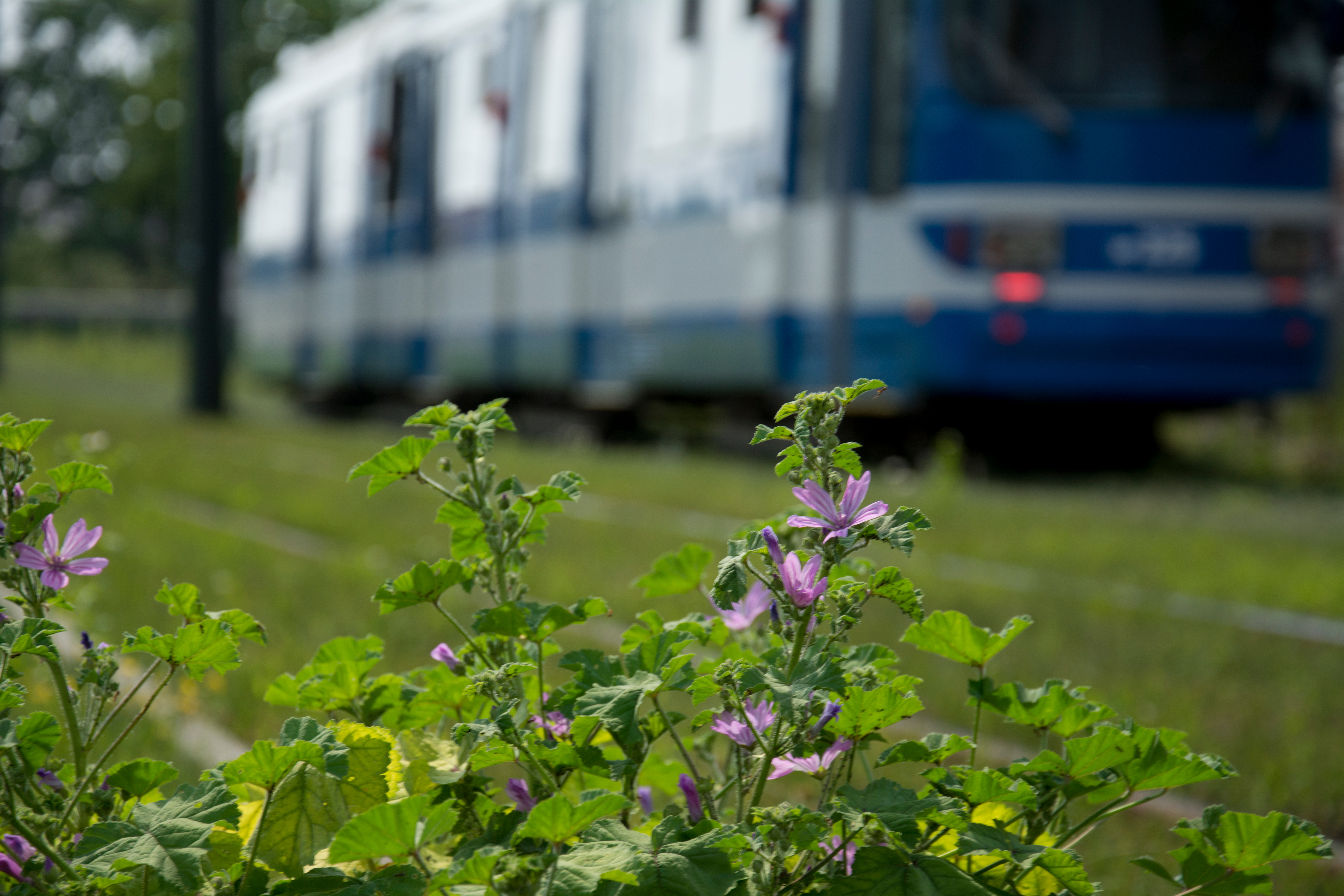 Podpisana umowa na modernizację torowiska tramwajowego w Krakowie