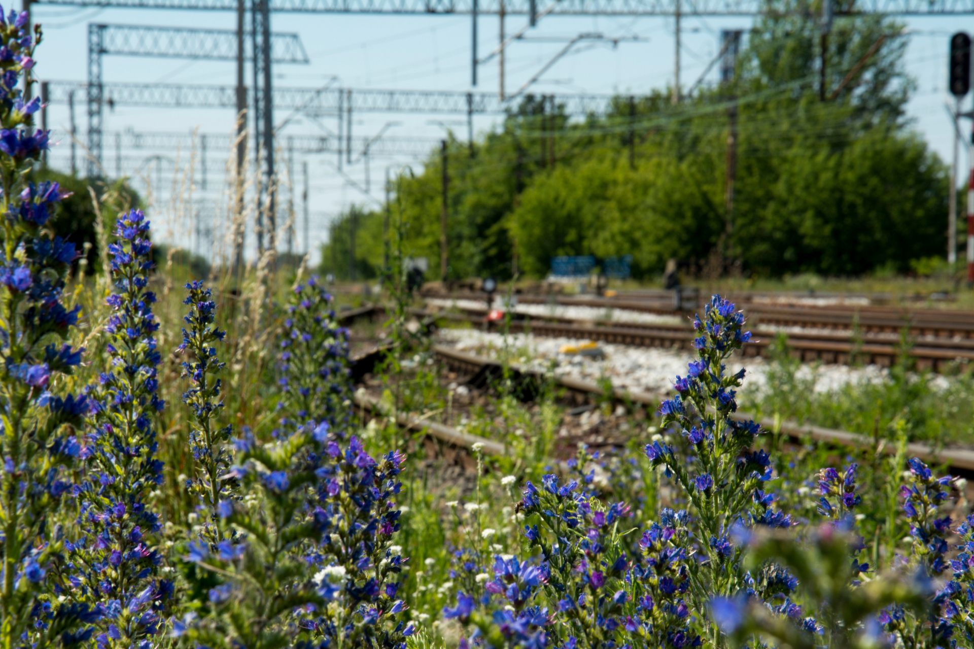 Podpisanie umowy na kolejowe roboty budowlane na odcinku Zawiercie – Dąbrowa Górnicza Ząbkowice – Jaworzno Szczakowa