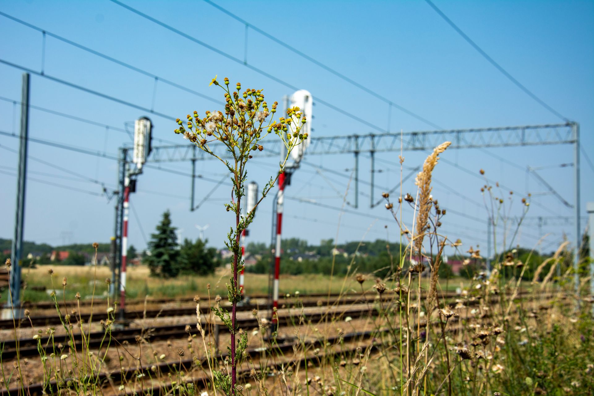 Przebudowa infrastruktury kolejowej na linii nr 61 odcinek Koniecpol - Turów w ramach zadania "Rewitalizacja toru nr 1 linii kolejowej nr 61"